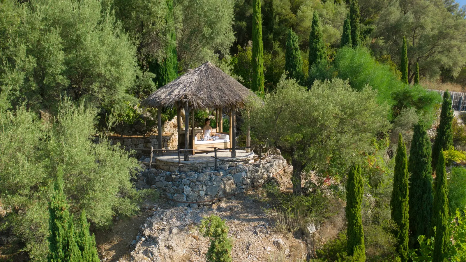 A thatched meditation pavilion among the olive trees